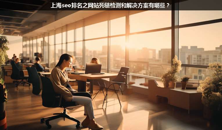 上海seo排名之網(wǎng)站死鏈檢測(cè)和解決方案有哪些？