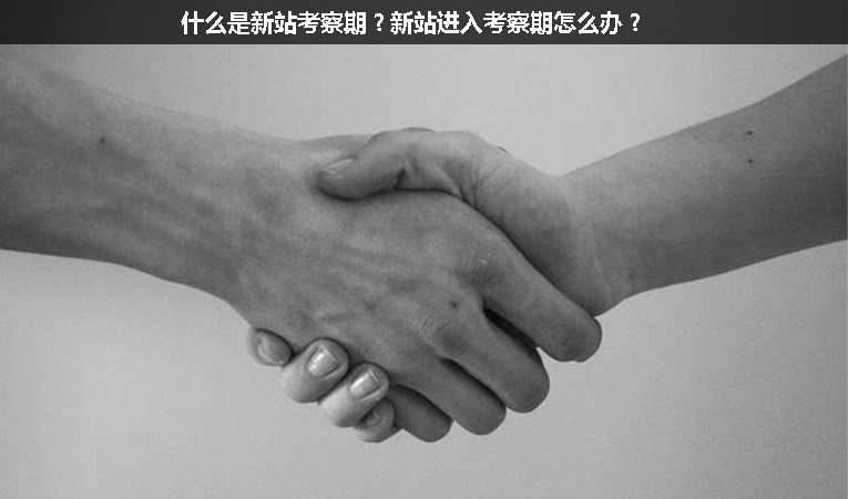 什么是新站考察期？新站進(jìn)入考察期怎么辦？