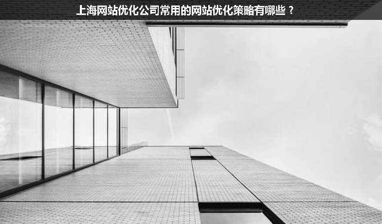 上海網(wǎng)站優(yōu)化公司常用的網(wǎng)站優(yōu)化策略有哪些？
