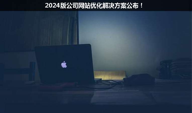 2024版公司網(wǎng)站優(yōu)化解決方案公布！