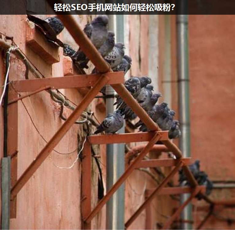 輕松SEO手機(jī)網(wǎng)站如何輕松吸粉?