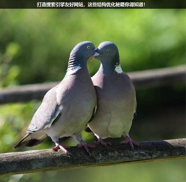 打造搜索引擎友好網(wǎng)站,這些結(jié)構(gòu)優(yōu)化秘籍你得知道!