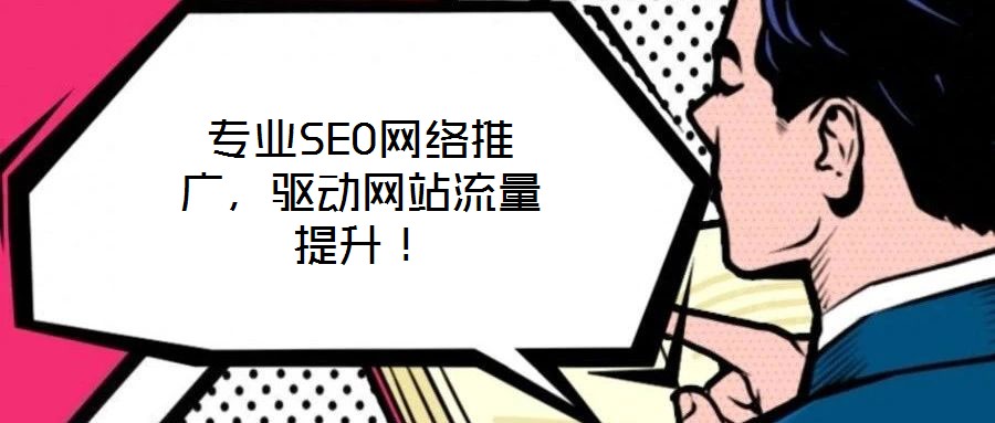 專業(yè)SEO網(wǎng)絡(luò)推廣，驅(qū)動(dòng)網(wǎng)站流量提升！