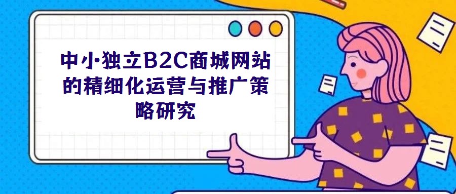 中小獨立B2C商城網(wǎng)站的精細(xì)化運營與推廣策略研究