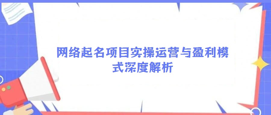 網(wǎng)絡(luò)起名項目實操運營與盈利模式深度解析