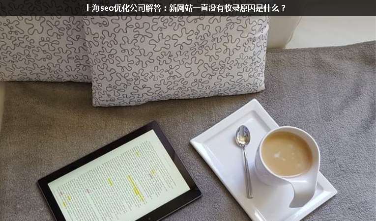 上海seo優(yōu)化公司解答：新網站一直沒有收錄原因是什么？